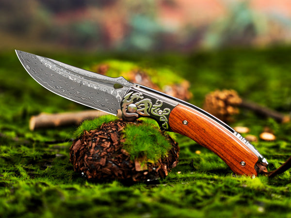 Couteau pliant en acier Damas LOTHAR RHAEGAL, couteau de poche extérieur de haute qualité en acier Damas VG10 à 67 couches, couteau de poche Damas haut de gamme avec manche en bois pour la chasse, idéal comme collection et cadeau (Bois de rose)